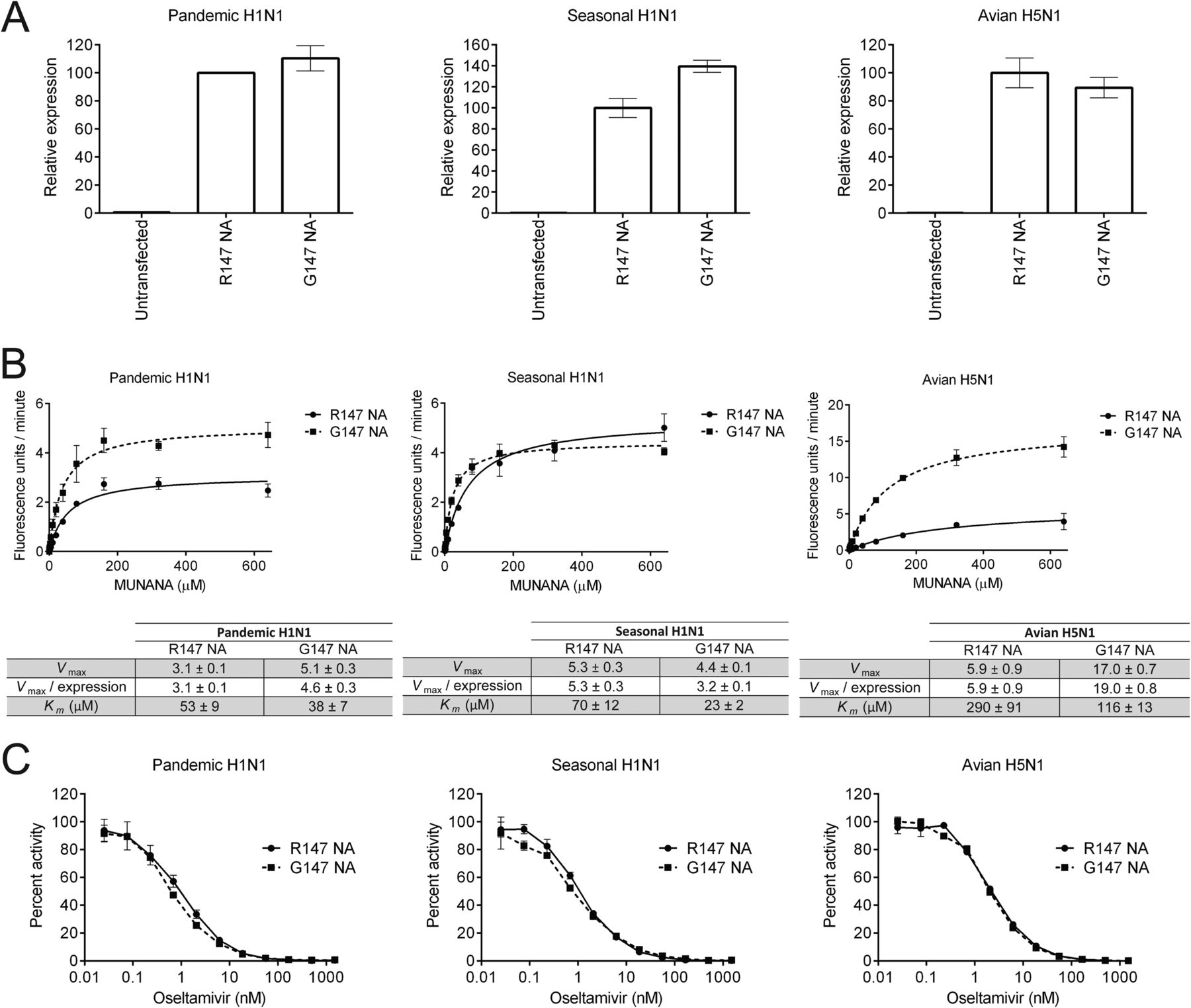 Image for Influenza viruses with receptor-binding N1 neuraminidases occur sporadically in several lineages and show no attenuation in cell culture or mice