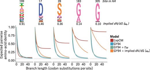 Image for Modeling site-specific amino-acid preferences deepens phylogenetic estimates of viral sequence divergence