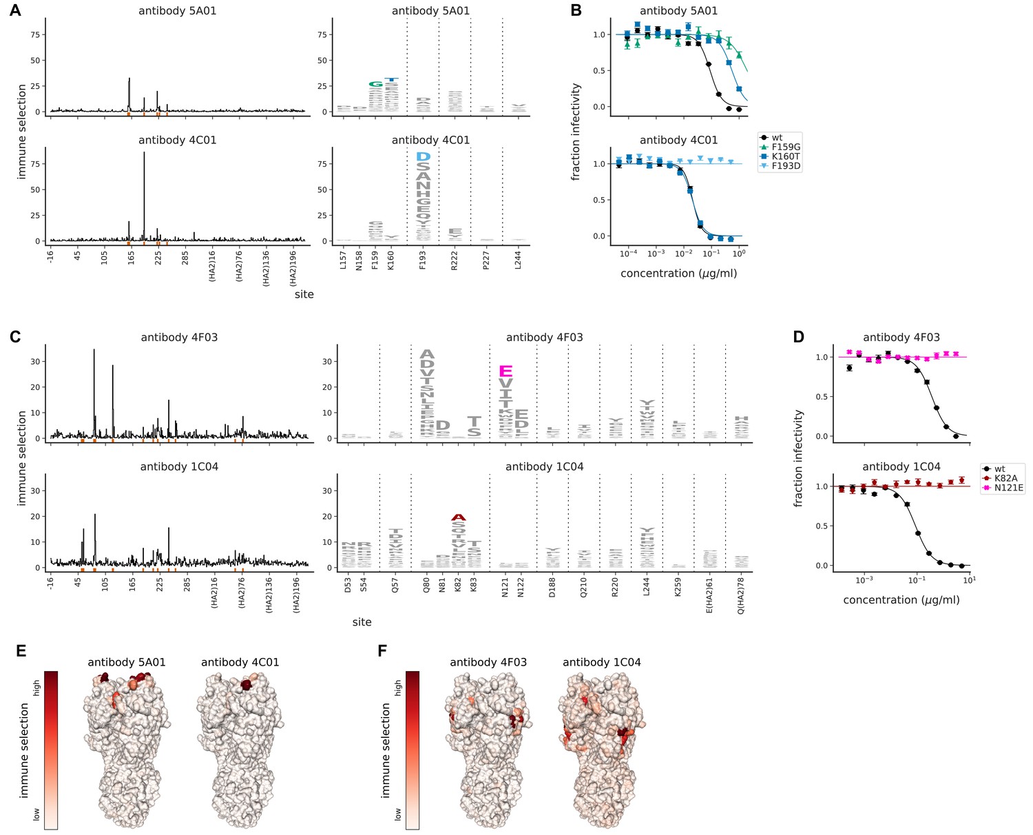 Image for Mapping person-to-person variation in viral mutations that escape polyclonal serum targeting influenza hemagglutinin