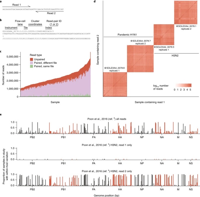 Image for Reconciling disparate estimates of viral genetic diversity during human influenza infections