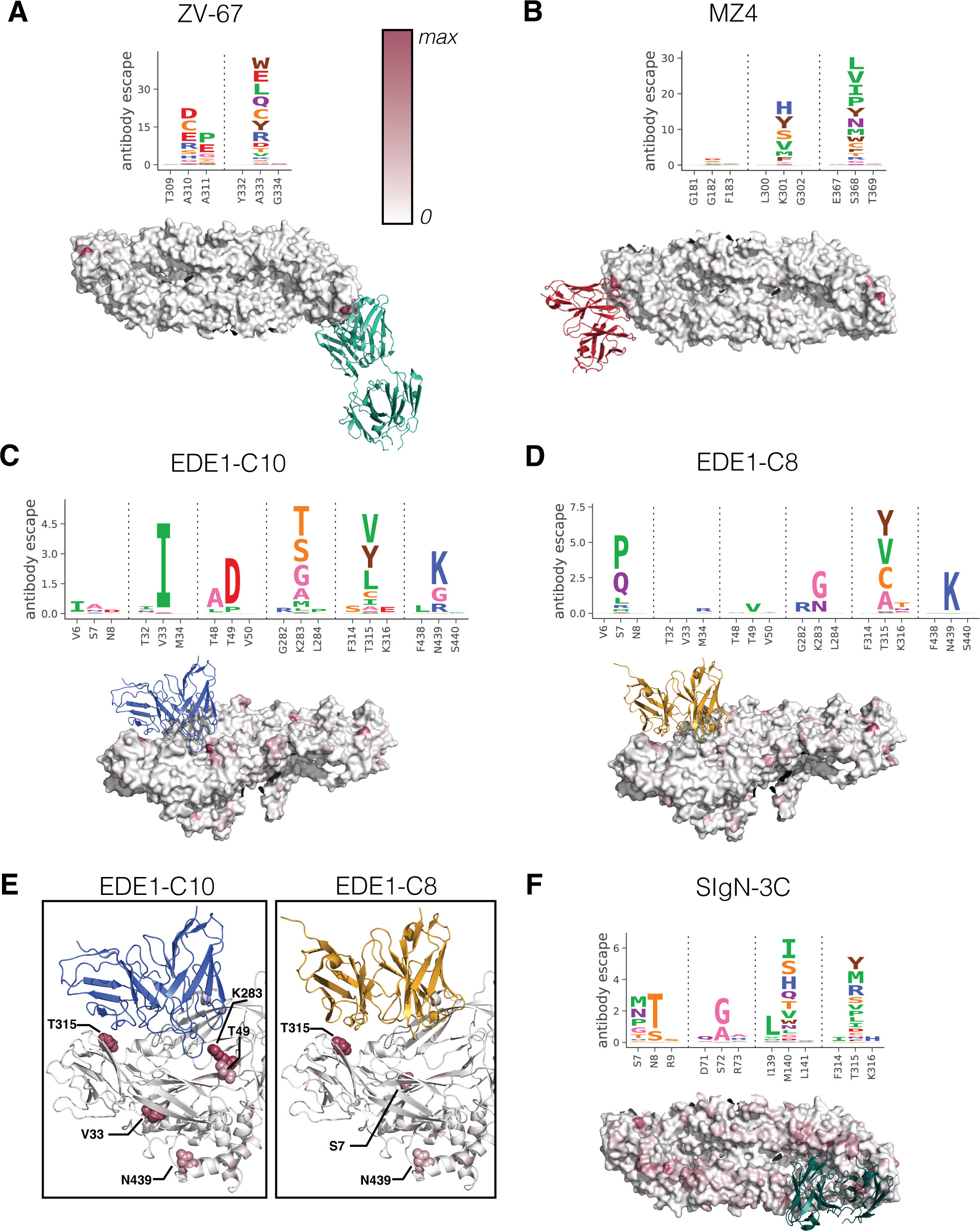 Image for The effect of single mutations in Zika virus envelope on escape from broadly neutralizing antibodies