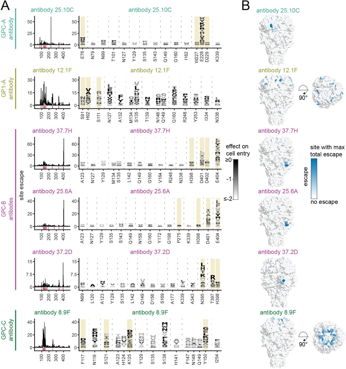 Image for Deep mutational scanning reveals functional constraints and antibody-escape potential of Lassa virus glycoprotein complex