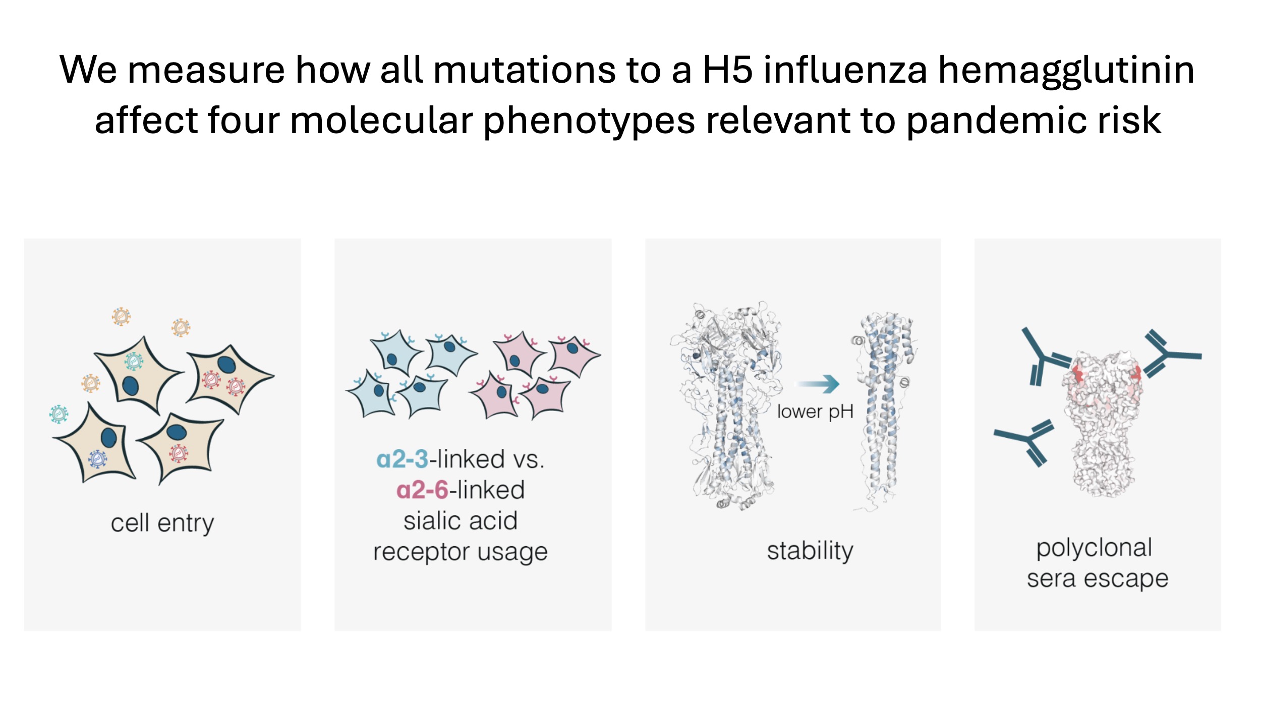 molecular phenotypes measured